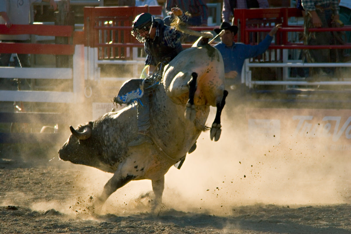 Bull Riding Rosen Contact – Rough Stock Rosin